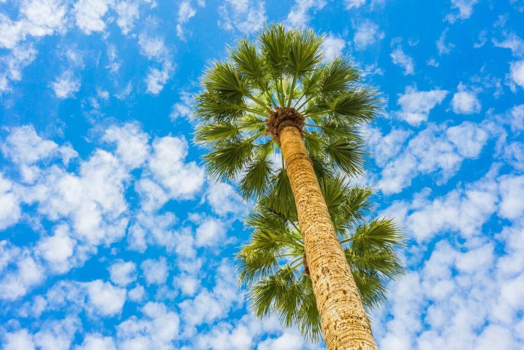 Large Studio Rooftop & Poolside - Walk To Old Town Scottsdale Eksteriør bilde